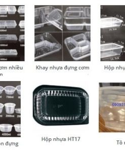 Hộp nhựa đựng thực phẩm