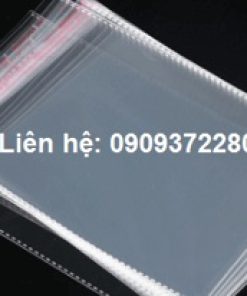 Túi bóng kính