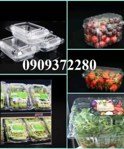 Hộp nhựa đựng rau quả