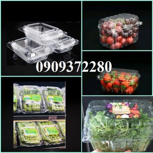 Hộp nhựa đựng rau quả