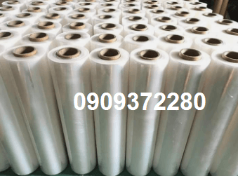 Màng bọc thực phẩm 450