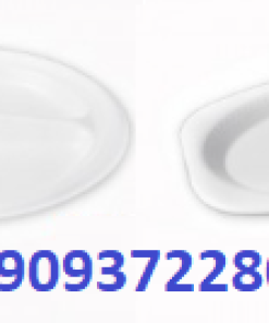 Đĩa nhựa dùng 1 lần