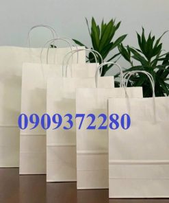 túi sách bằng giấy